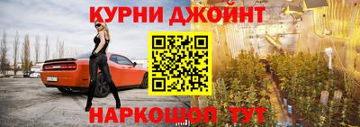 гидра Гатчина