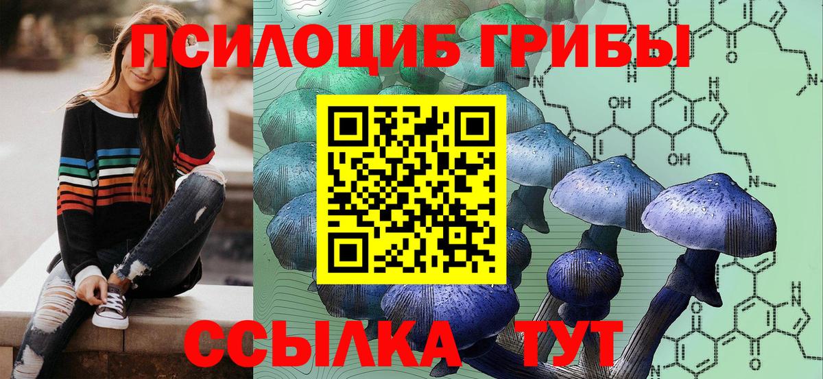 Псилоцибиновые грибы Magic Shrooms Зеленогорск