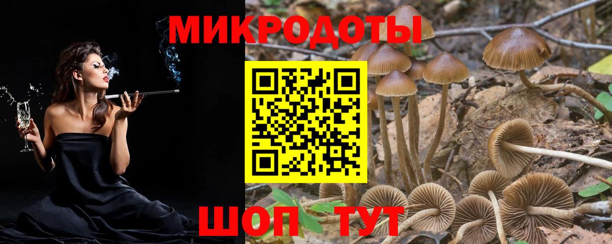 Галлюциногенные грибы MAGIC MUSHROOMS  Вход с VPN  Зеленогорск 